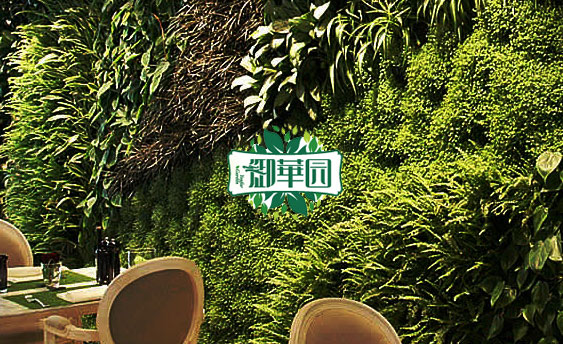 御花园